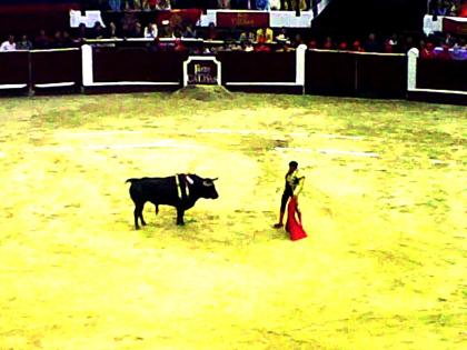 Bogotá_Torada9_venga